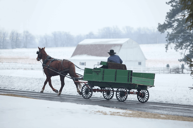 freelancing road is quite lonely and you cannot ride two horses with one butt