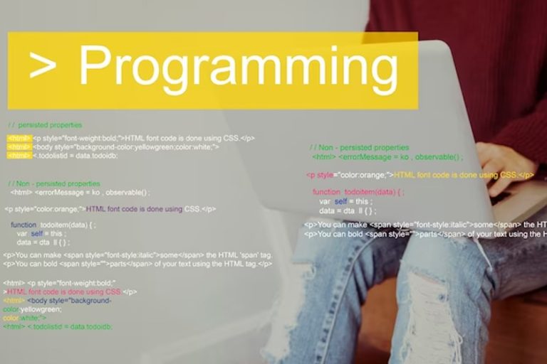 What is a full-stack developer? | Winatalent