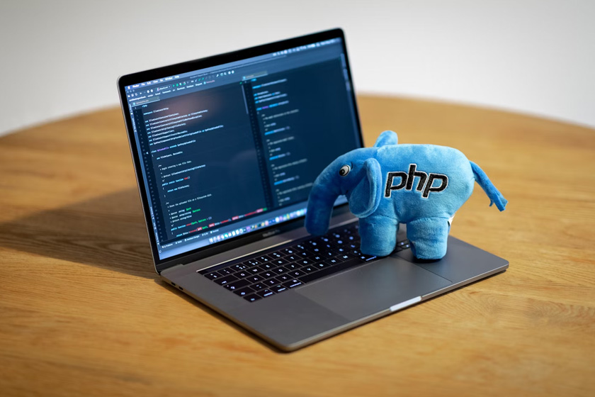 about PHP language